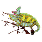 Image Wear, Sunshine Digitizing, Embroidery Designs